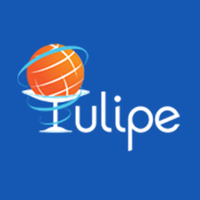 tulipe-3